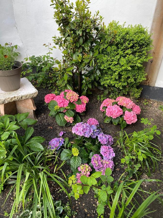 Appartement Vivier 4 Personnes Tout Confort Boulogne-sur-Mer Exterior foto